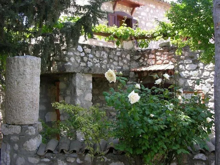 Guest house Medusa House Butik Hotel Didim