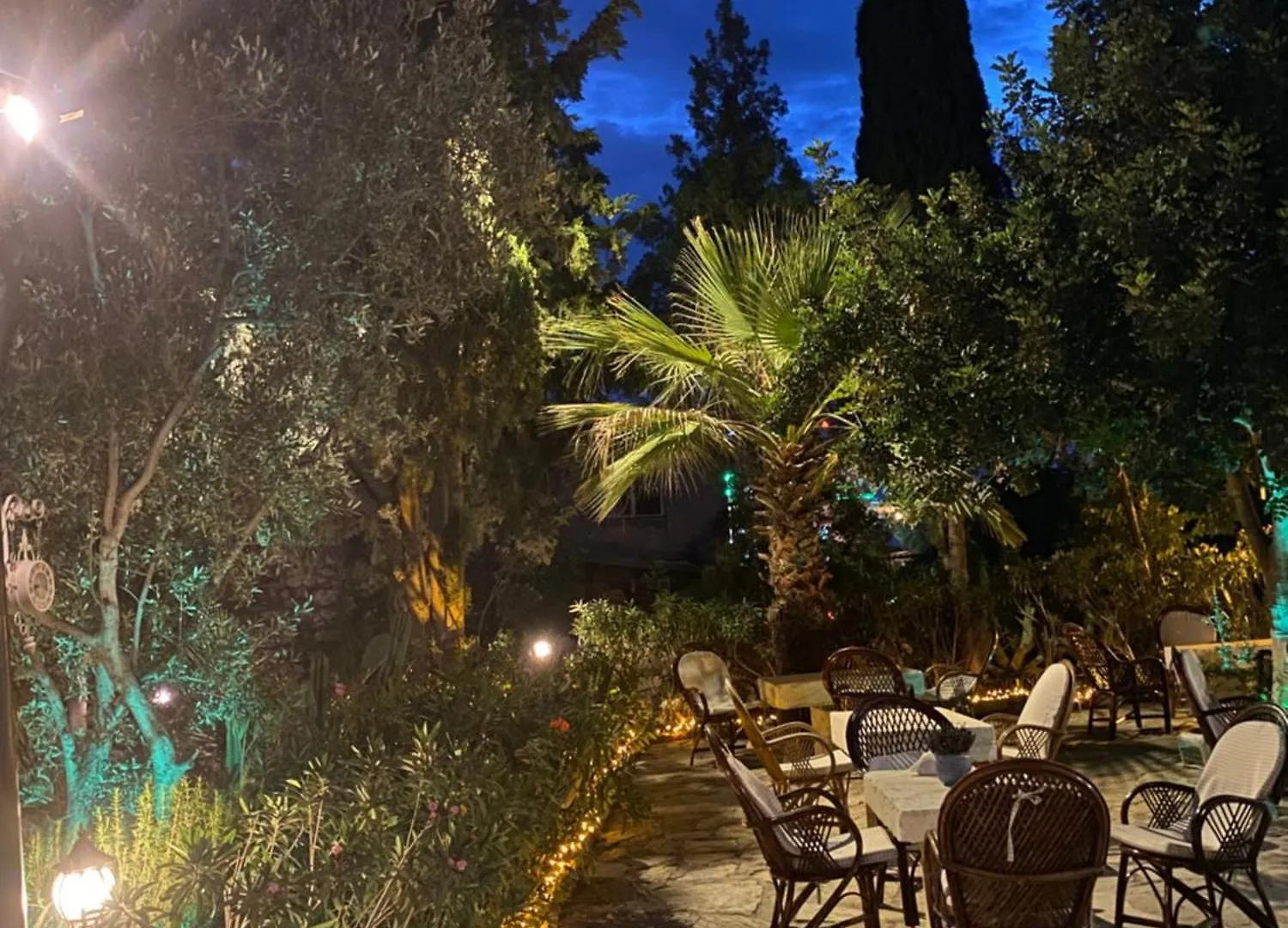Guest house Medusa House Butik Hotel Didim