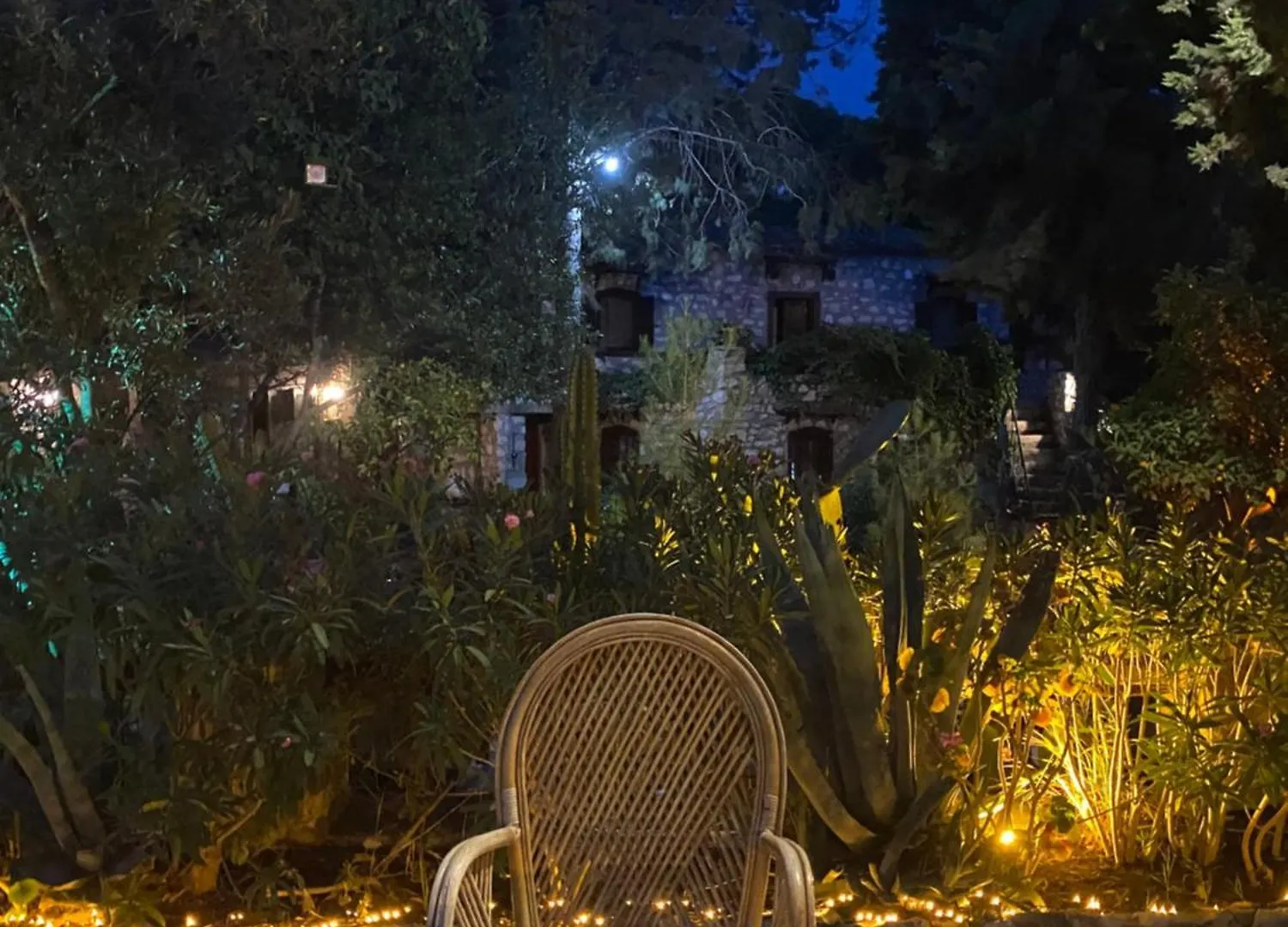 Medusa House Butik Hotel Didim Maison d'hôtes
