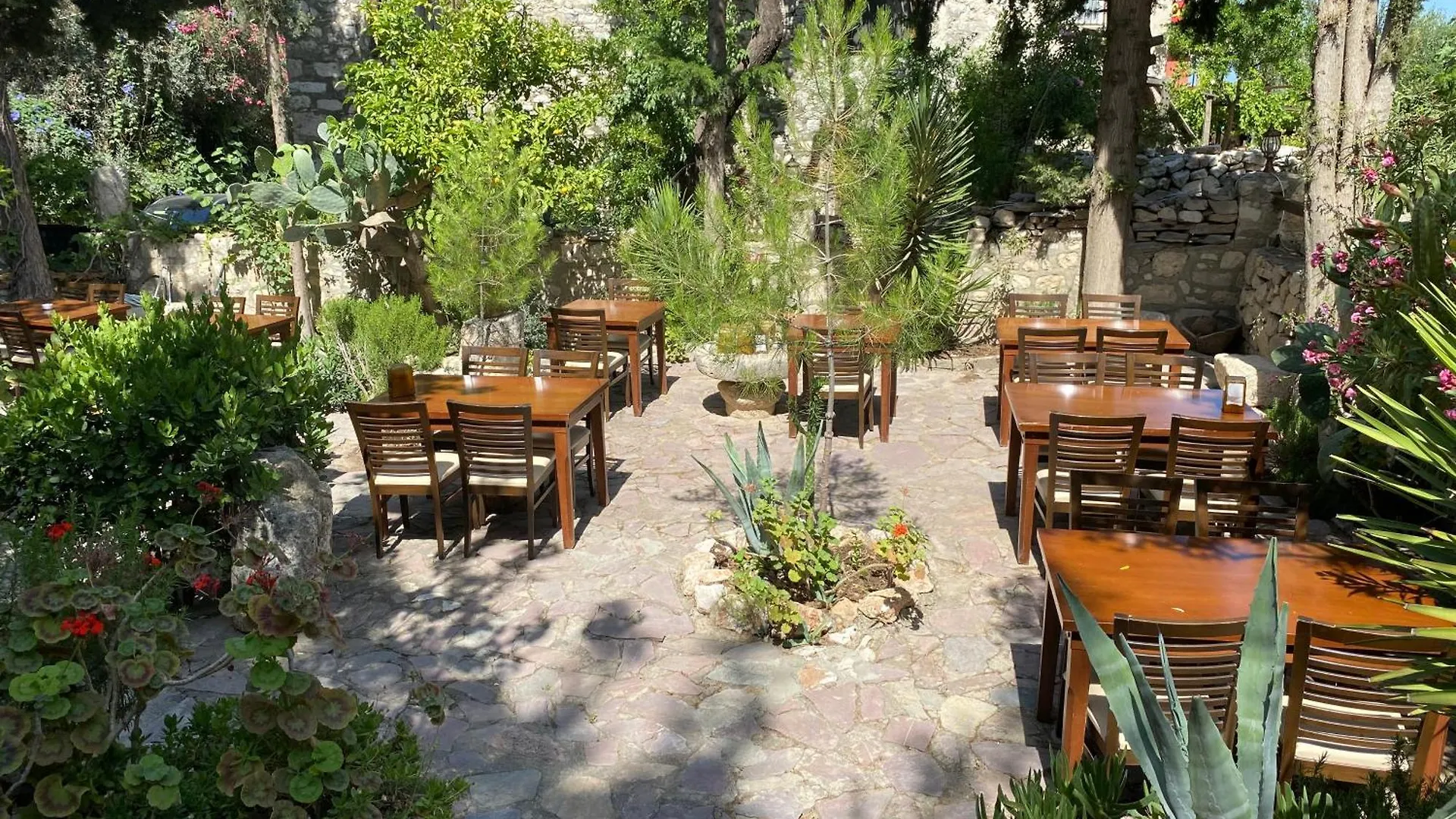 Medusa House Butik Hotel Didim 0*,  Turquie