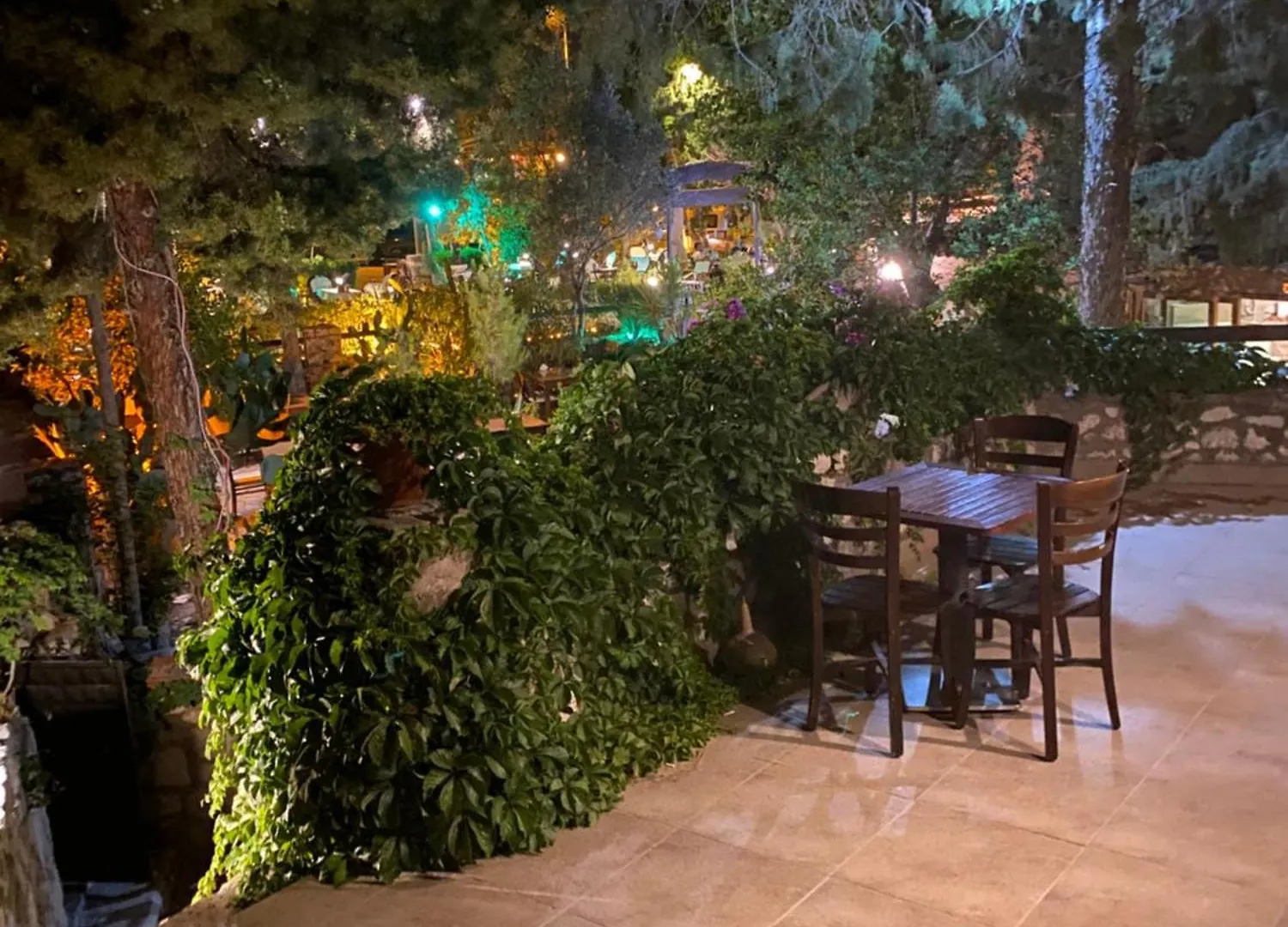 Maison d'hôtes Medusa House Butik Hotel Didim Turquie