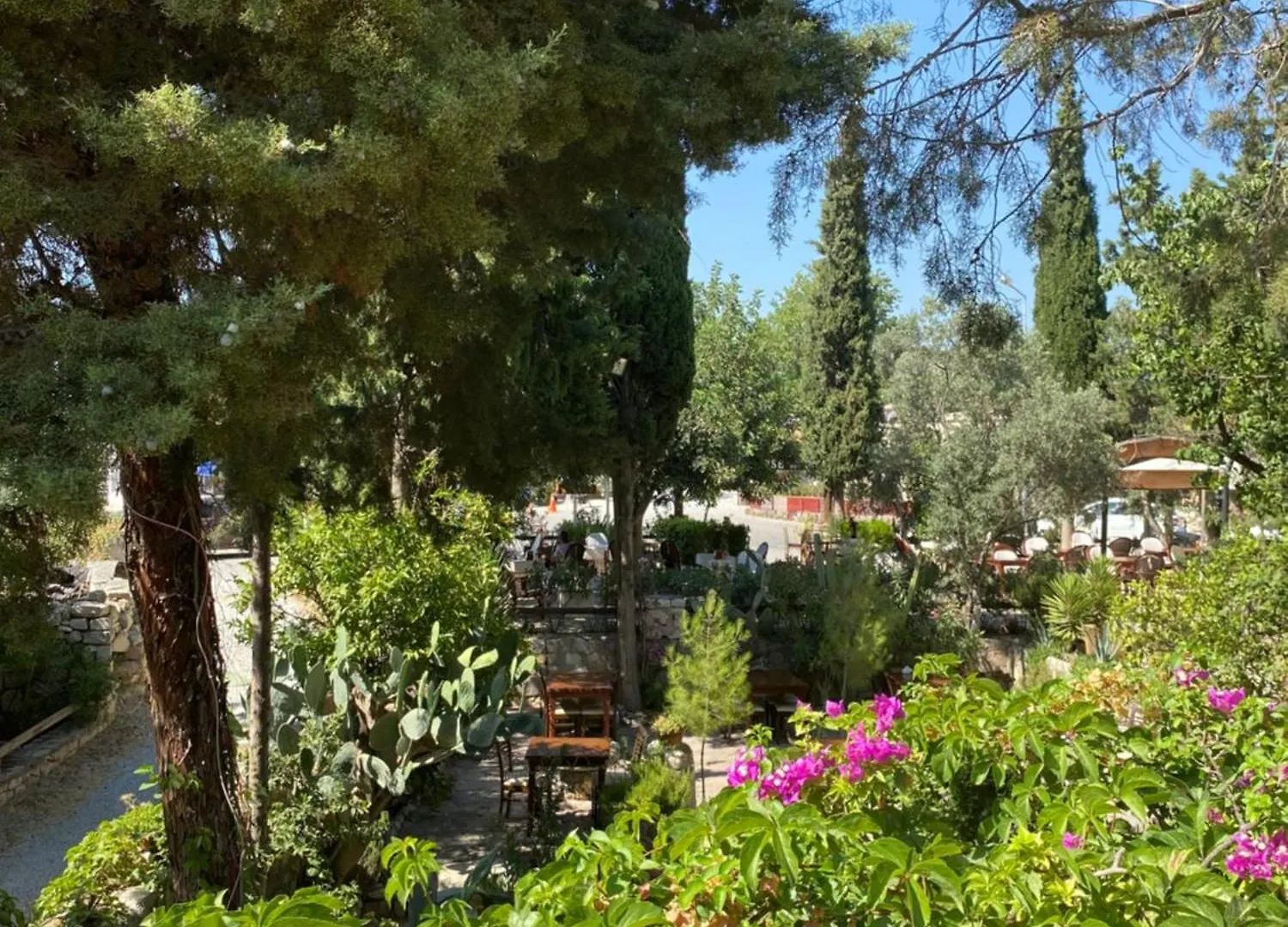 Maison d'hôtes Medusa House Butik Hotel Didim